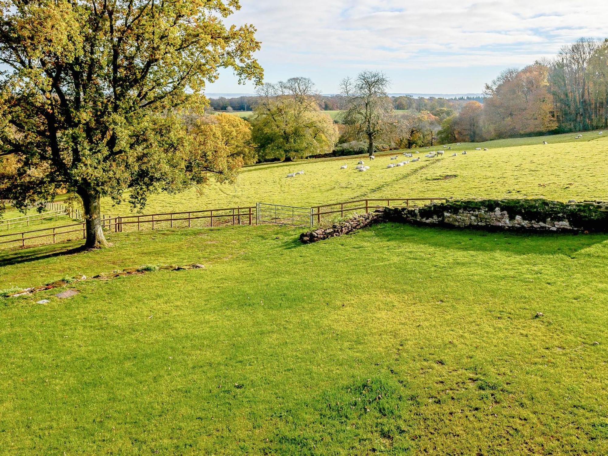 Owl Barn -- Uk30757 Villa Bream Exterior photo